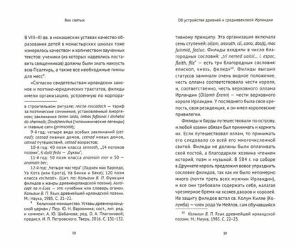 Век святых. Мир ирландского монашества до английского завоевания