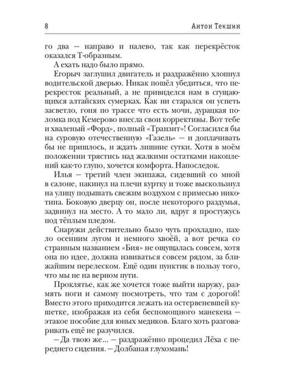 Миры Артема Каменистого. S-T-I-K-S. Окаянный