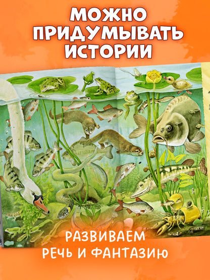 Найди и покажи. Найди и покажи. 1000 животных