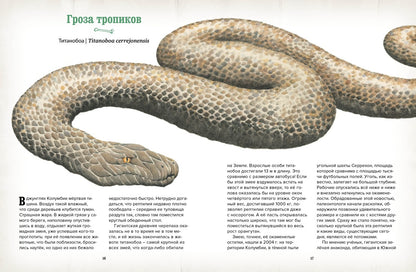 Музей доисторических животных. Единороги, мамонты, динозавры и другие экспонаты