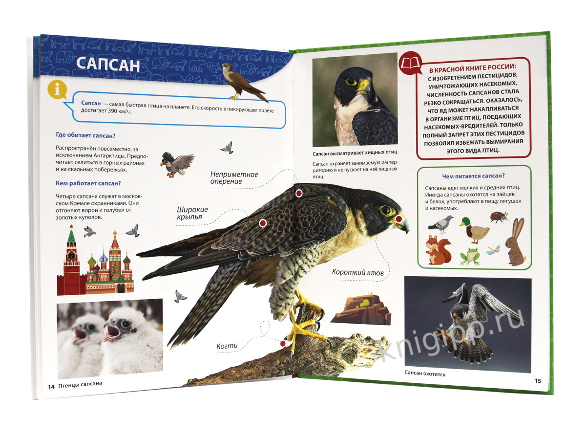 ПЕРВАЯ ДЕТСКАЯ ЭНЦИКЛОПЕДИЯ. ВСЁ О КРАСНОЙ КНИГЕ МАЛЫШАМ