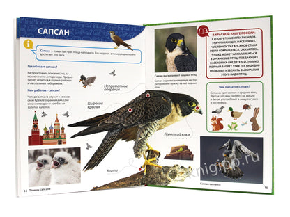 ПЕРВАЯ ДЕТСКАЯ ЭНЦИКЛОПЕДИЯ. ВСЁ О КРАСНОЙ КНИГЕ МАЛЫШАМ