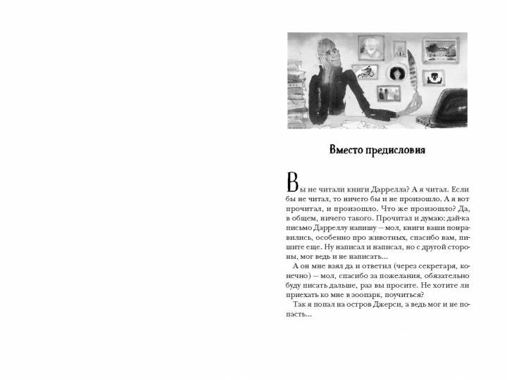 Остров, одетый в джерси