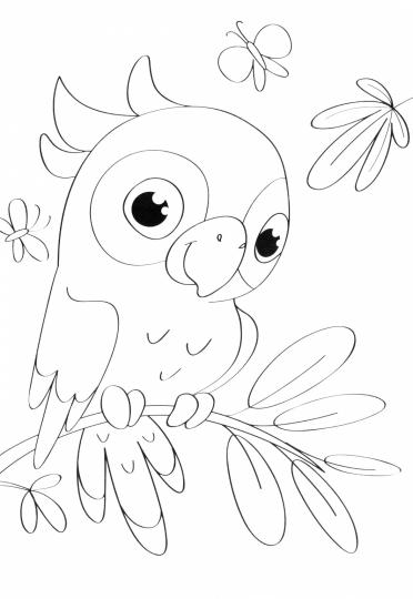 МИНИ-РАСКРАСКА А5 эконом. ПЕРВЫЕ КАРТИНКИ