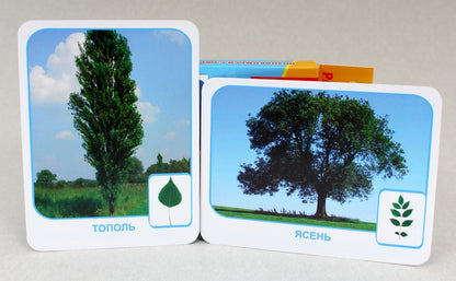 МОИ ПЕРВЫЕ УРОКИ. ПРИРОДА