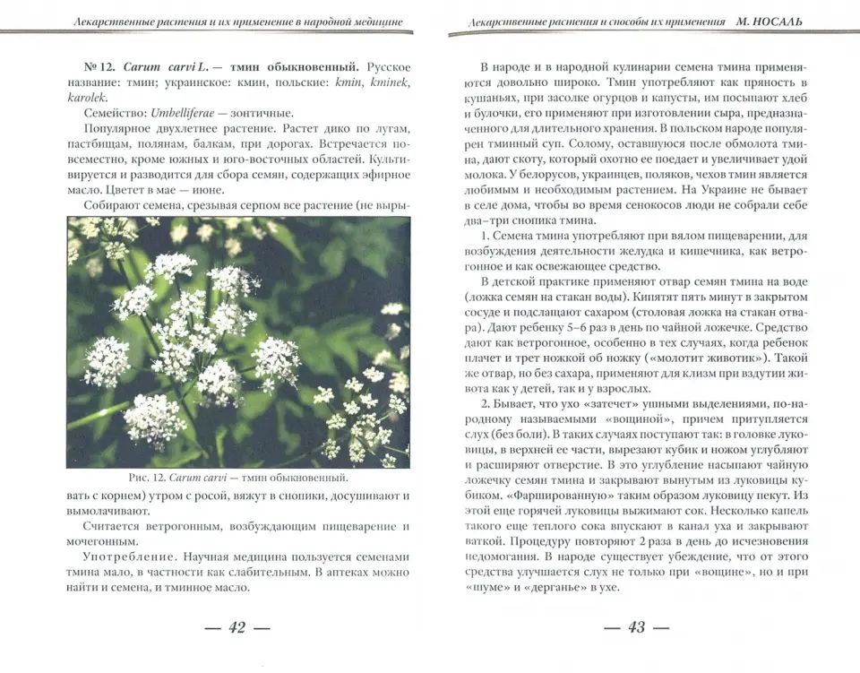 Лекарственные растения и способы их применения в народе. (цвет)