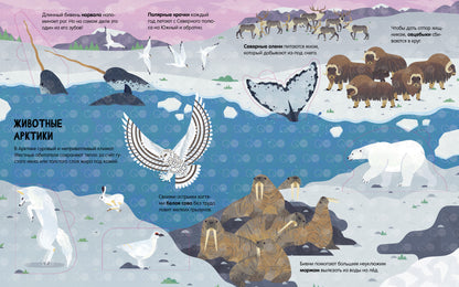 Энциклопедия с окошками. Животные. Энциклопедия с окошками/Петти У.