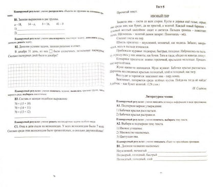 Комплексные итоговые работы 2 класс