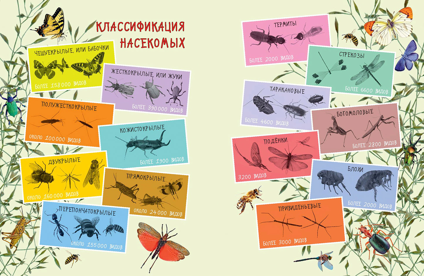 Такие незнакомые эти насекомые (СНИЖЕНА ЦЕНА)