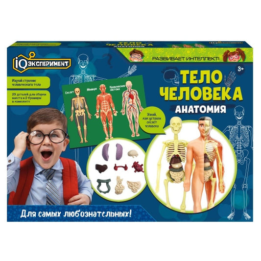 Опыты анатомия тела человека, кор. IQ Эксперимент в кор.2*18шт
