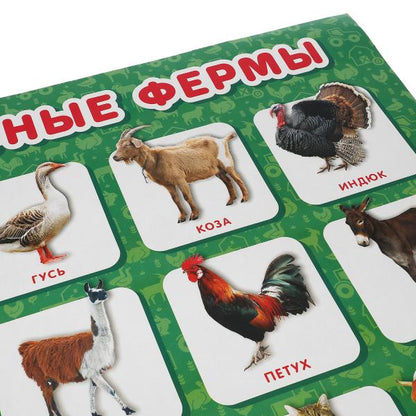 Животные фермы. Плакат А2. Умка уп-10шт в кор.5уп