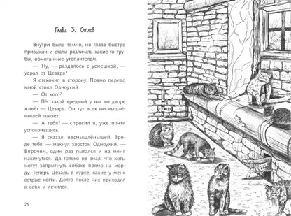 Когда наступит завтра