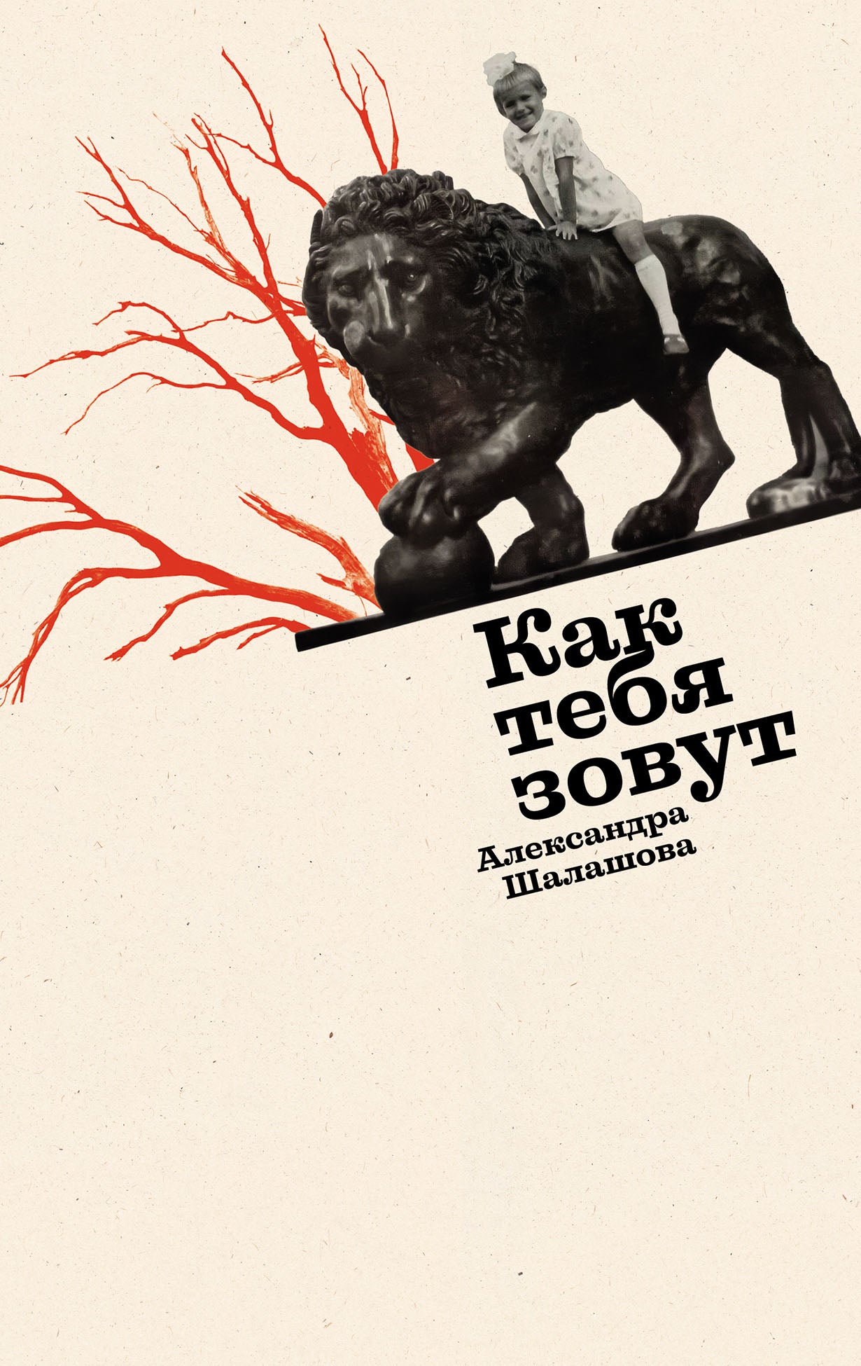 Как тебя зовут: роман