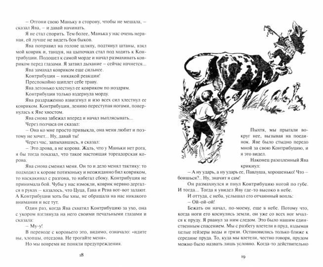 Тореадоры из Васюковки: повести