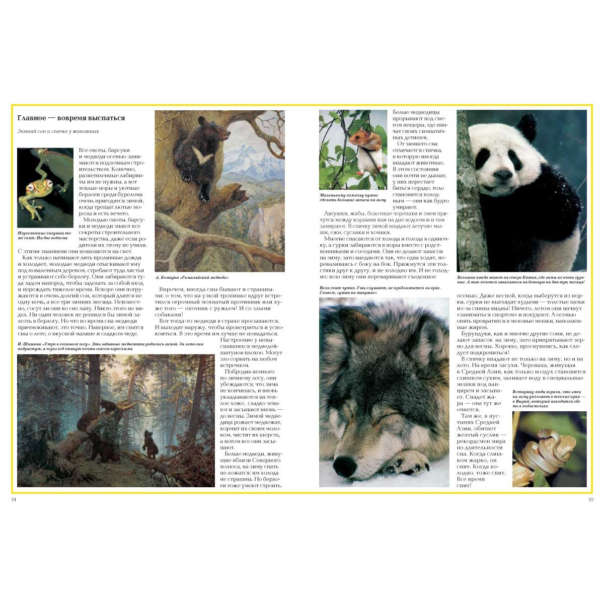 Загадки животного мира