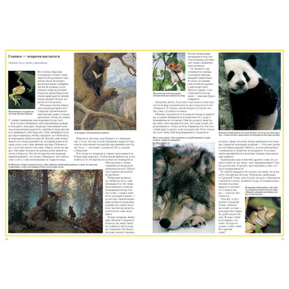 Загадки животного мира