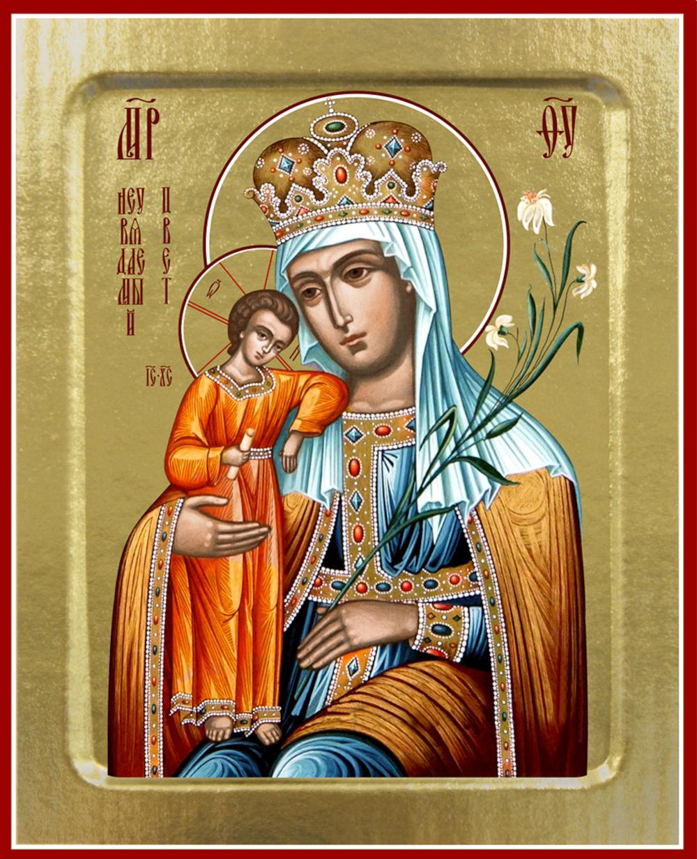 Икона Пресвятой Богородицы, Неувядаемый Цвет (на дереве): 125 х 160