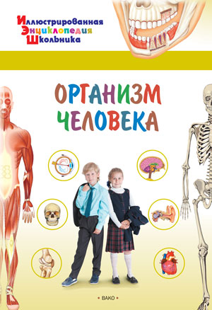 Иллюстрированная энциклопедия школьника. Организм человека. /Орехов.