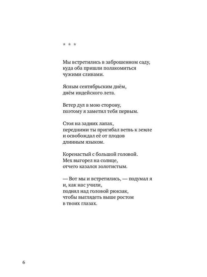 Чудесный школьник: сборник стихотворений