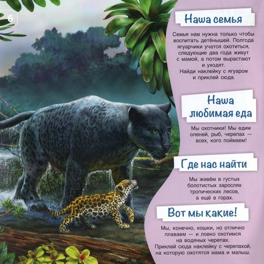 Познакомимся поближе! Жители джунглей