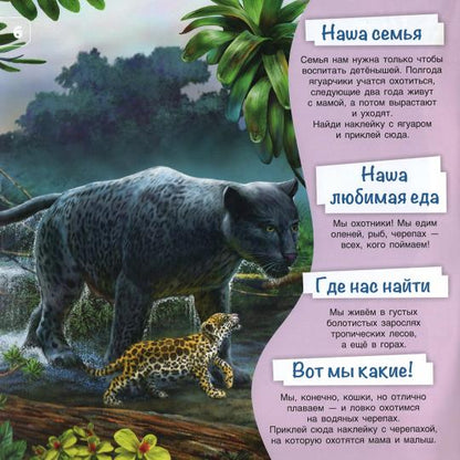 Познакомимся поближе! Жители джунглей