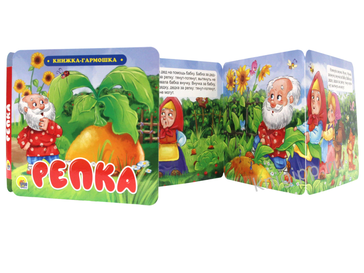 КНИЖКА-ГАРМОШКА. РЕПКА
