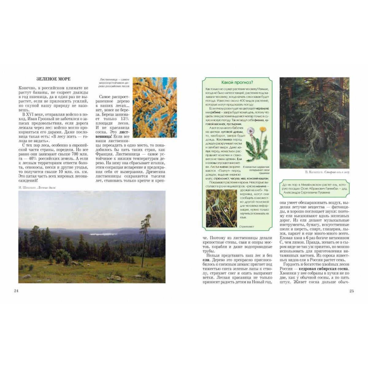 Природа России