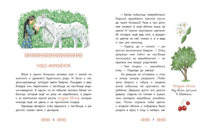 Бурятские сказки. Чудо-жеребенок