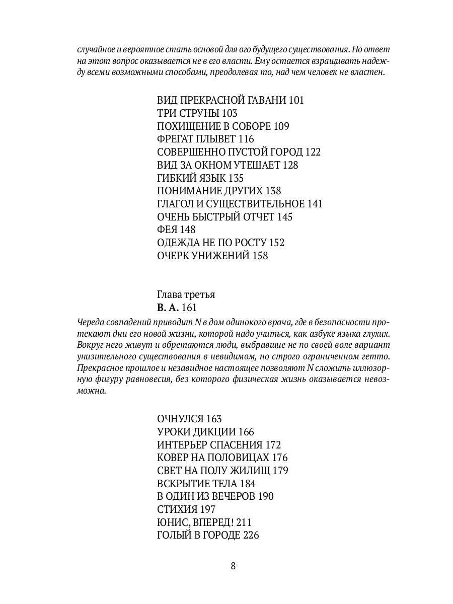 Фланер: роман
