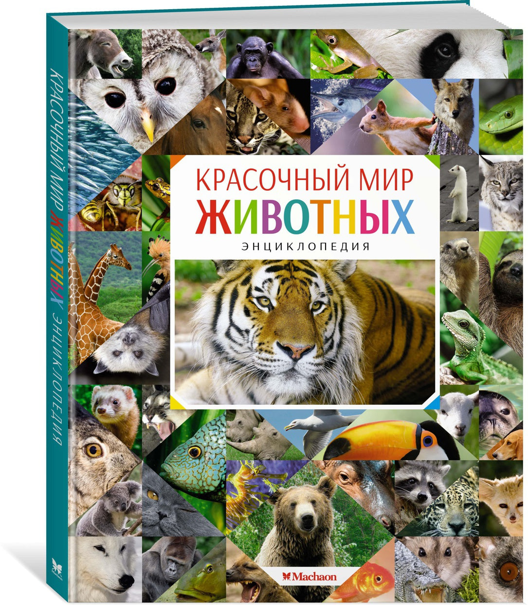 Красочный мир животных