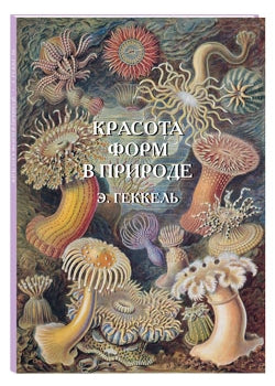 Красота формируется в природе. Иллюстрация Э. Геккель