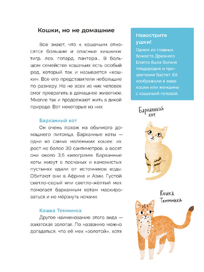 Хочу котенка! Полное пособие по уходу за питомцем