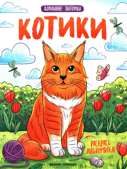 Котики:книжка-раскраска