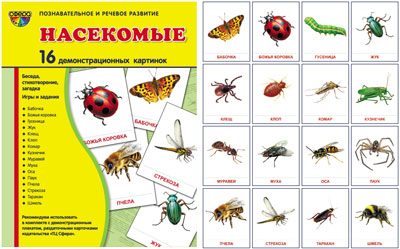 Демонстр. картинки "Насекомые" (173х220мм)
