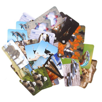 Мемо. 7207 Удивительные животные