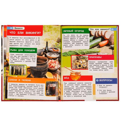 Викинги. Энциклопедия с развивающими заданиями. 197х255 мм, 7БЦ. 48 ст в кор.15шт