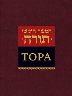 Тора (подарочное издание)