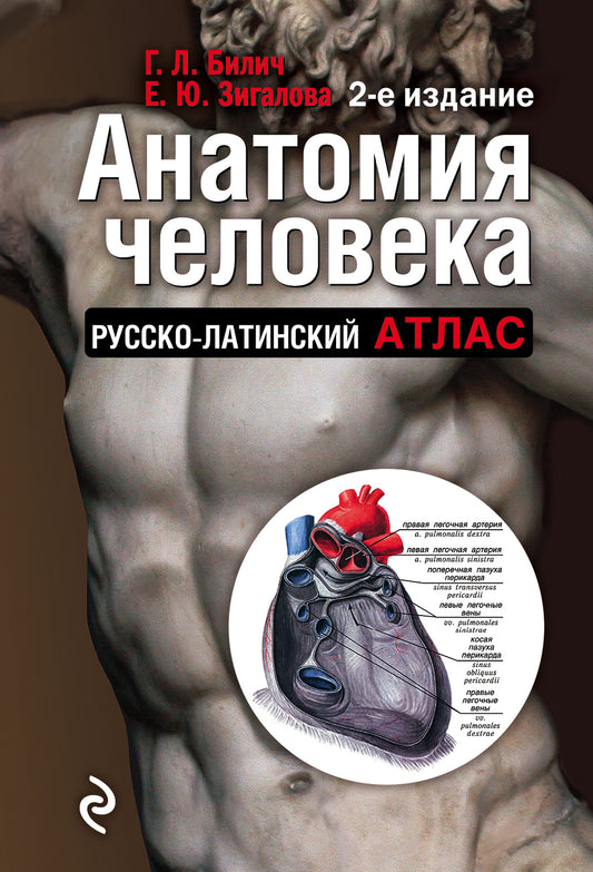 Анатомия человека (цветной atlas): Русско-латинский atlas. 2-е издание