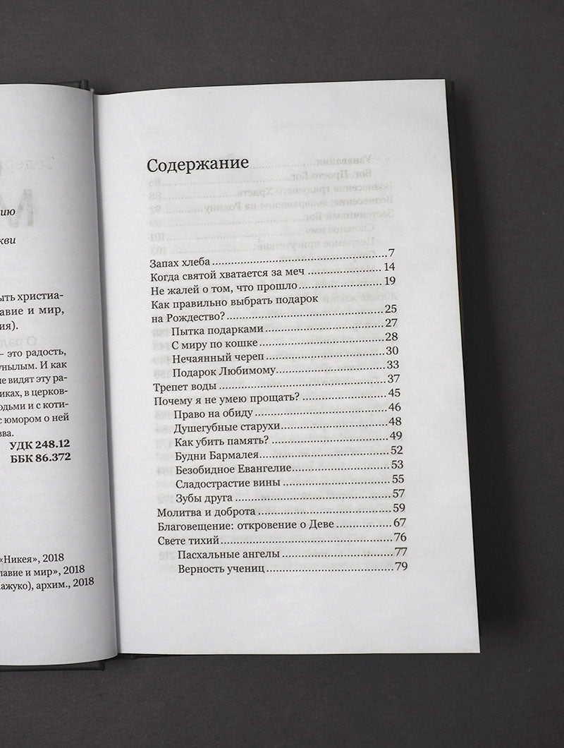 На руках у Бога. О радости быть христианином.