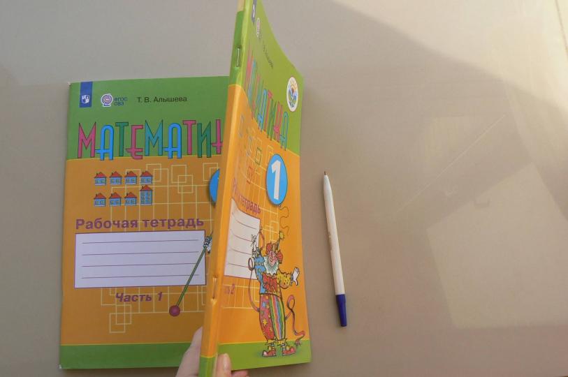 Алышева. Математика. 1 кл. Р/т в 2-х ч. Ч.2 /обуч. с интеллект. нарушен/ (ФГОС ОВЗ)