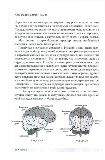 Как подготовить мозг ребенка к обучению: 52 стратегии для развития детского интеллекта