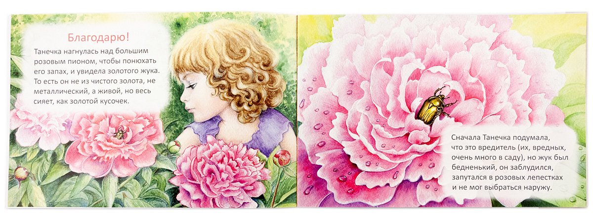 Благодарю Брейэр Станислав