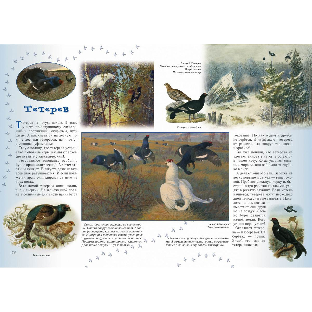 Прогулки по лесу. - 2-е изд.