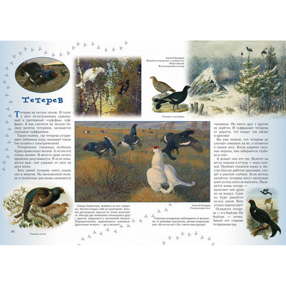 Прогулки по лесу. - 2-е изд.