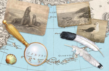 Белый котик