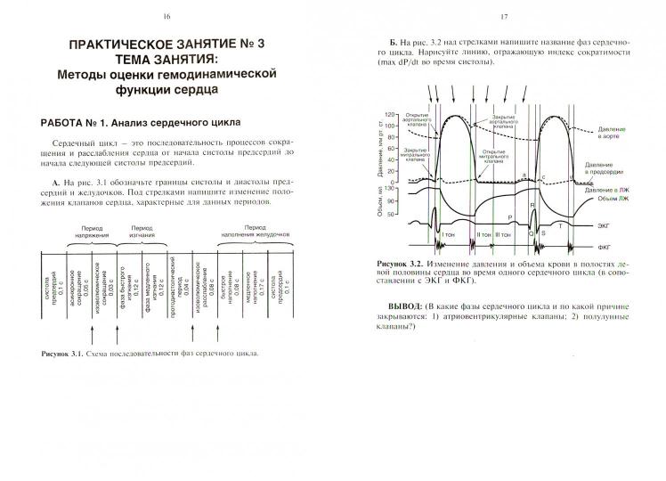 Рабочая тетрадь к практическим занятиям по курсу «Основы функциональной диагностики». Учебное пособие для студентов дневного лечеб. и педиатр. фак.