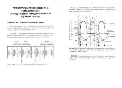 Рабочая тетрадь к практическим занятиям по курсу «Основы функциональной диагностики». Учебное пособие для студентов дневного лечеб. и педиатр. фак.