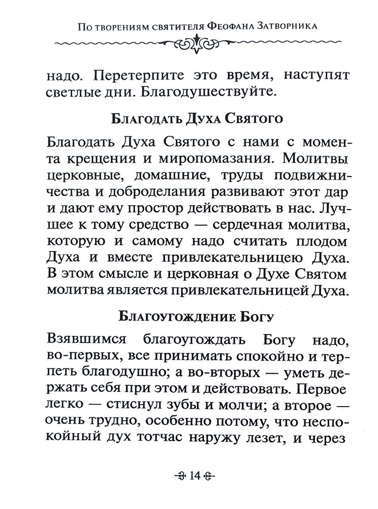 Зачем мы живем. По творениям святителя Феофана Затворника