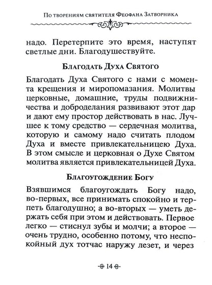 Зачем мы живем. По творениям святителя Феофана Затворника