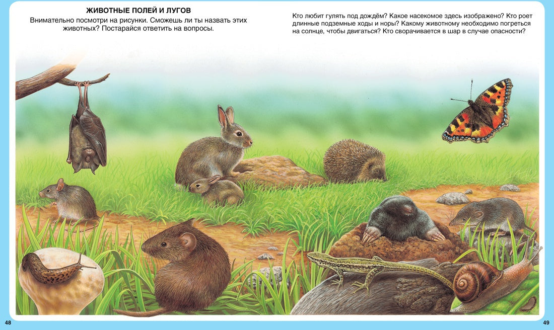 Животные (нов.оф.)